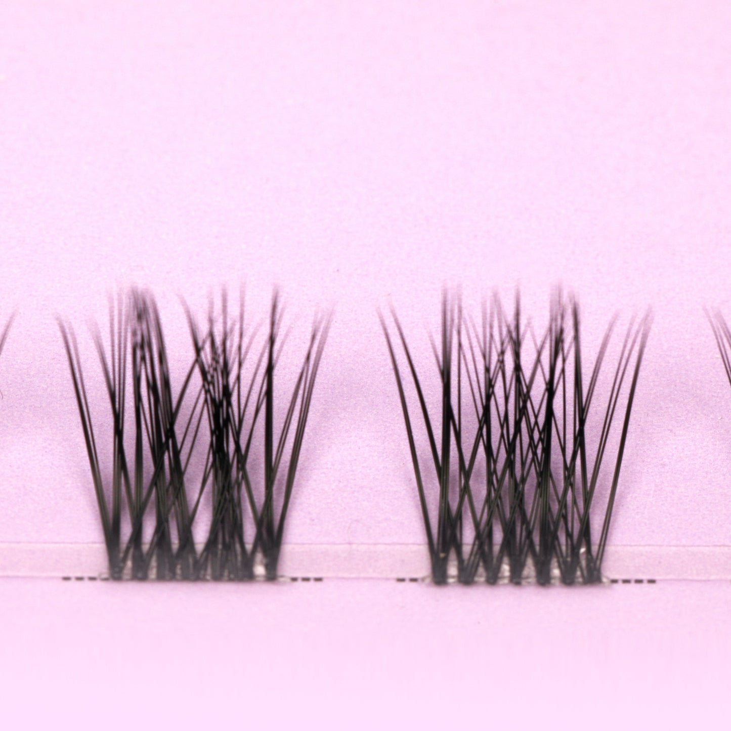 SALAMA LASHES-length :10/12/14mm C Curl