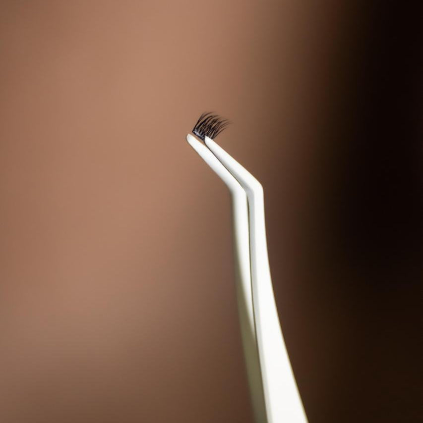 Weekly Lashes G&G0-A1