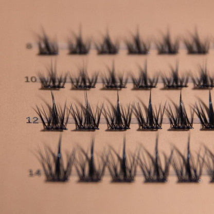 Weekly Lashes G&G0-B1