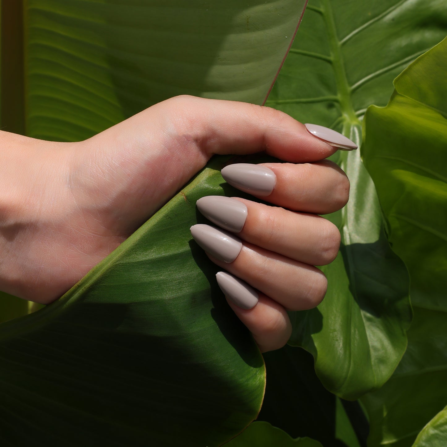 Shh, I’m Iconic Nails