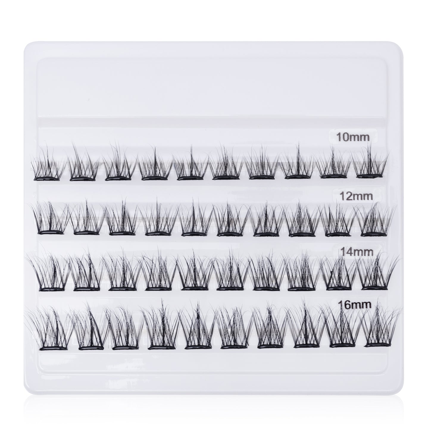 Royal Wink Lashes