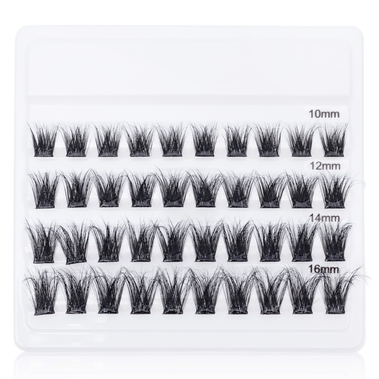 Go Girl Lashes