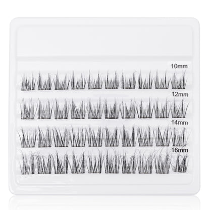 Flirt Mode-on Lashes
