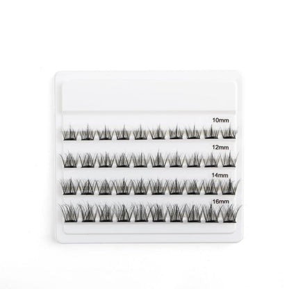 Royal Wink Lashes