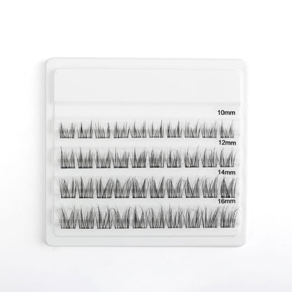 Flirt Mode-on Lashes